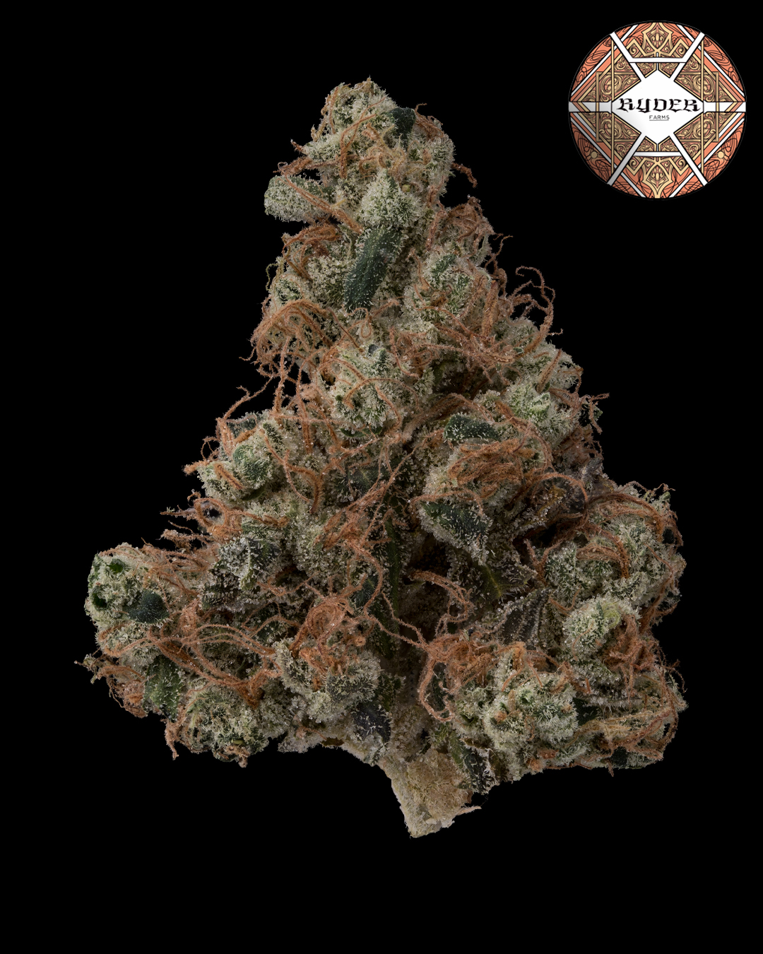 Ryder Farms Maine - sour d instagram 2.jpg